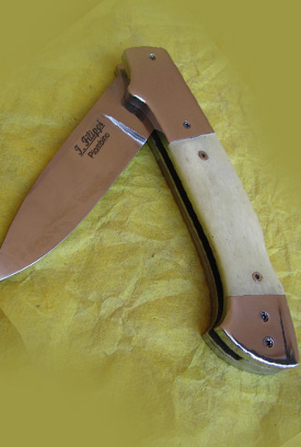 Coltello 31