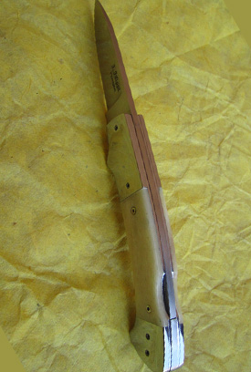 Coltello 31